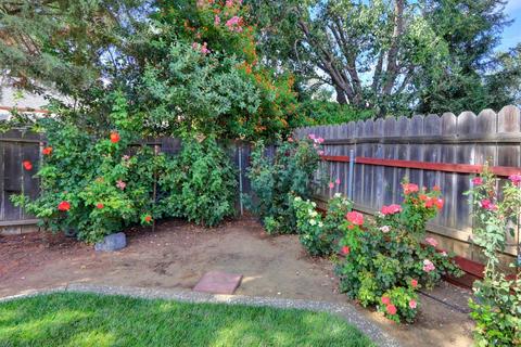 419 Balboa Ave, Davis, CA 95616 photo 34