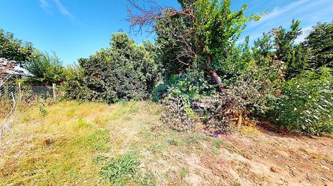 331 Bothun Rd, Turlock, CA 95380 photo 32