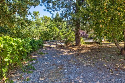 13894 Shadow Glen Ct, Pine Grove, CA 95665 photo 34