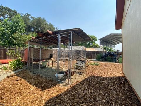 216 Saddle Ct, Galt, CA 95632 photo 38