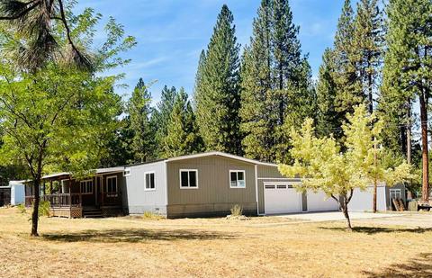 90 Easy St, Meadow Valley, CA 95956 photo 1