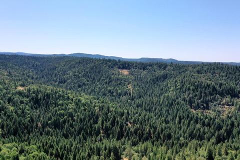 5980 Ridgeway Dr, Pollock Pines, CA 95726 photo 62
