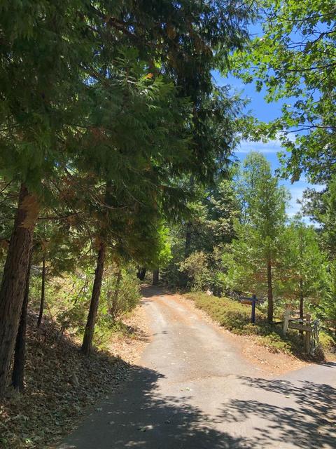 5980 Ridgeway Dr, Pollock Pines, CA 95726 photo 4