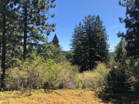 5980 Ridgeway Dr, Pollock Pines, CA 95726 photo 52