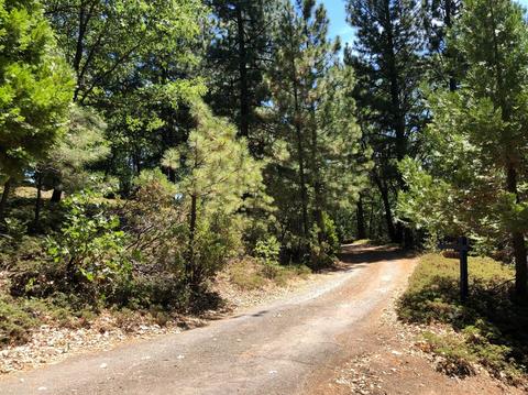 5980 Ridgeway Dr, Pollock Pines, CA 95726 photo 3