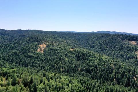 5980 Ridgeway Dr, Pollock Pines, CA 95726 photo 55