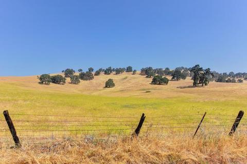 250 Gopher Flat Rd, Sutter Creek, CA 95685 photo 33