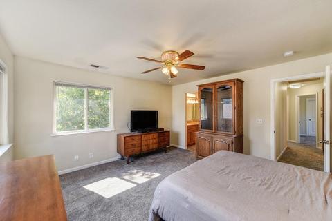 250 Gopher Flat Rd, Sutter Creek, CA 95685 photo 20