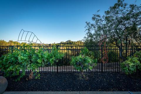 16582 Oliveto Rd, Jackson, CA 95642 photo 54