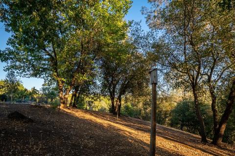 16582 Oliveto Rd, Jackson, CA 95642 photo 53