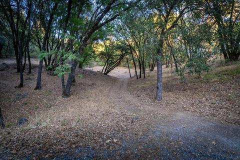 16582 Oliveto Rd, Jackson, CA 95642 photo 56