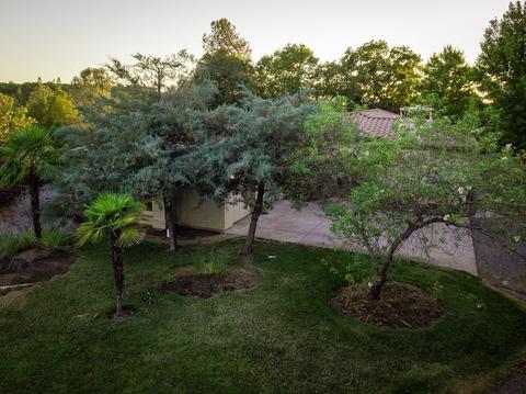 16582 Oliveto Rd, Jackson, CA 95642 photo 64