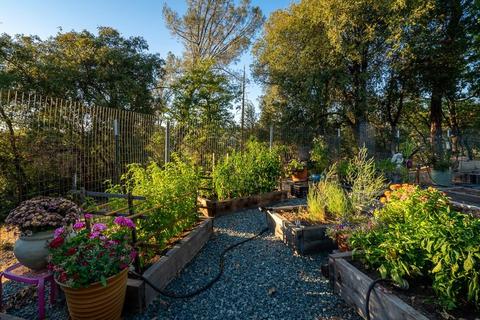 16582 Oliveto Rd, Jackson, CA 95642 photo 47