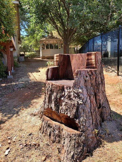 1661 Digger Tree Ct, Cool, CA 95614 photo 55