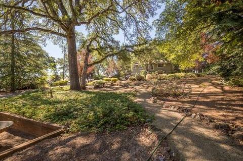 1661 Digger Tree Ct, Cool, CA 95614 photo 10