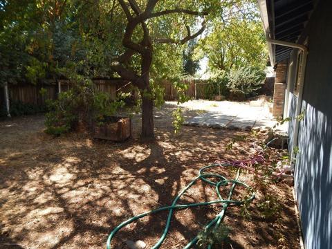 1308 Alice St, Davis, CA 95616 photo 22