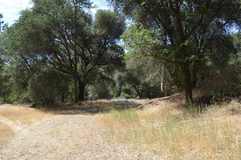 7121 Bayne Rd, Placerville, CA 95667 photo 24