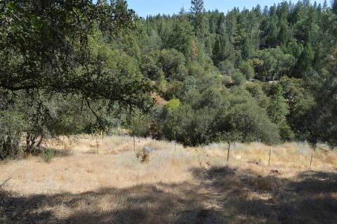 7121 Bayne Rd, Placerville, CA 95667 photo 8