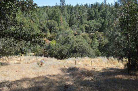 7121 Bayne Rd, Placerville, CA 95667 photo 9