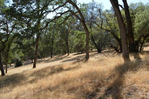 7121 Bayne Rd, Placerville, CA 95667 photo 10