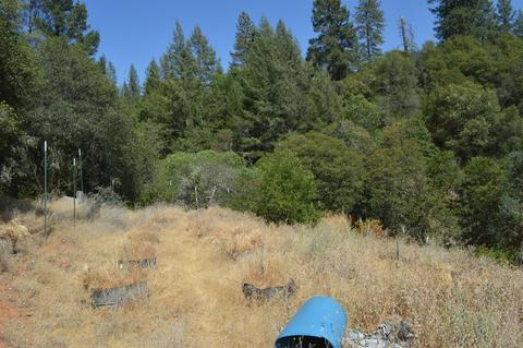 7121 Bayne Rd, Placerville, CA 95667 photo 15