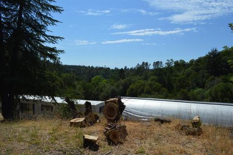 7121 Bayne Rd, Placerville, CA 95667 photo 16