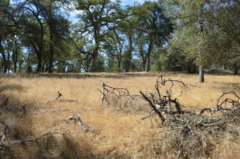 7121 Bayne Rd, Placerville, CA 95667 photo 14