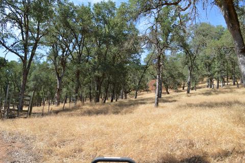 7121 Bayne Rd, Placerville, CA 95667 photo 13