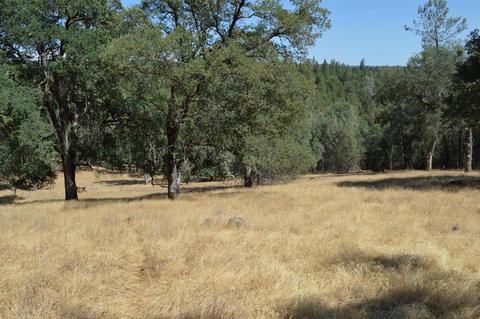7121 Bayne Rd, Placerville, CA 95667 photo 11