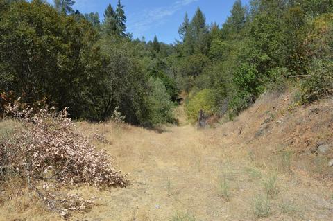 7121 Bayne Rd, Placerville, CA 95667 photo 19