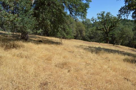 7121 Bayne Rd, Placerville, CA 95667 photo 12