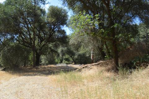 7121 Bayne Rd, Placerville, CA 95667 photo 25