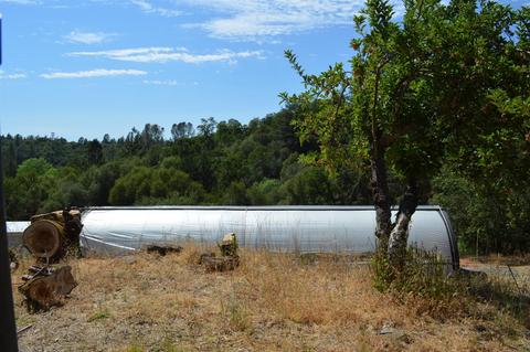 7121 Bayne Rd, Placerville, CA 95667 photo 17