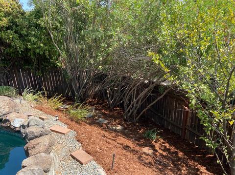 9848 Oakplace, Folsom, CA 95630 photo 17