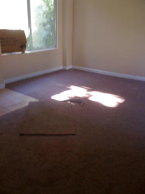 1131 Alpha Rd, Turlock, CA 95380 photo 4