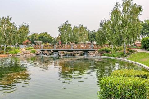 2557 Shadow Berry Dr, Manteca, CA 95336 photo 57