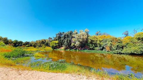 925 River Rd, Modesto, CA 95351 photo 59