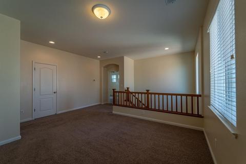 317 Renaissance Ave, Lathrop, CA 95330 photo 33