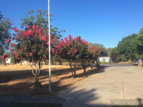 13089 Ness Rd, Herald, CA 95638 photo 43