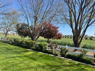 13089 Ness Rd, Herald, CA 95638 photo 32