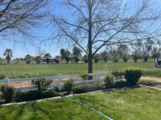 13089 Ness Rd, Herald, CA 95638 photo 33