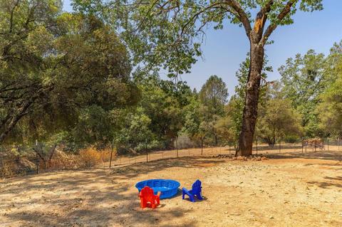 17290 Ridge Rd, Pine Grove, CA 95665 photo 17
