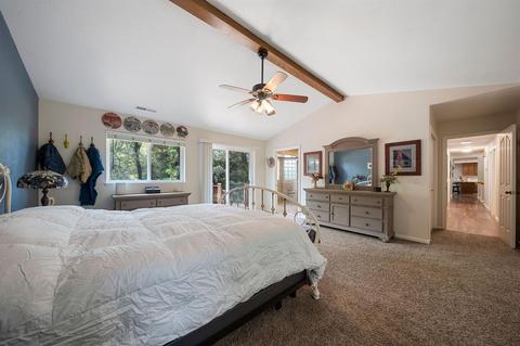 17290 Ridge Rd, Pine Grove, CA 95665 photo 78