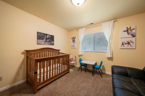 17290 Ridge Rd, Pine Grove, CA 95665 photo 73