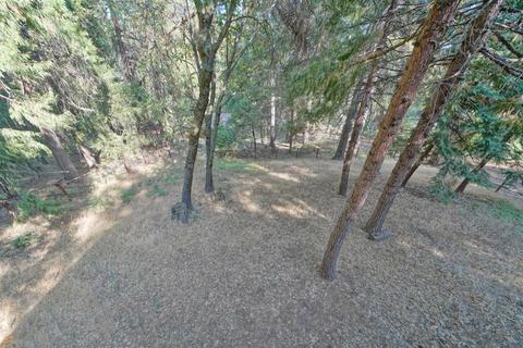 4297 Pine Forest Dr, Pollock Pines, CA 95726 photo 27