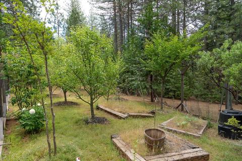 19311 Mountain View Way, Volcano, CA 95689 photo 39