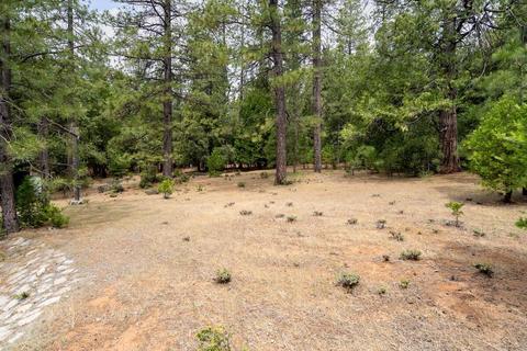 19311 Mountain View Way, Volcano, CA 95689 photo 37