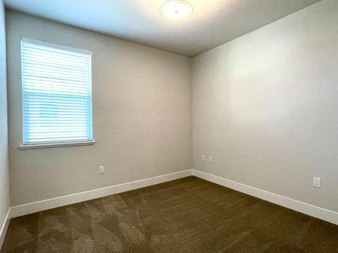 1665 Heirloom St, Davis, CA 95616 photo 20