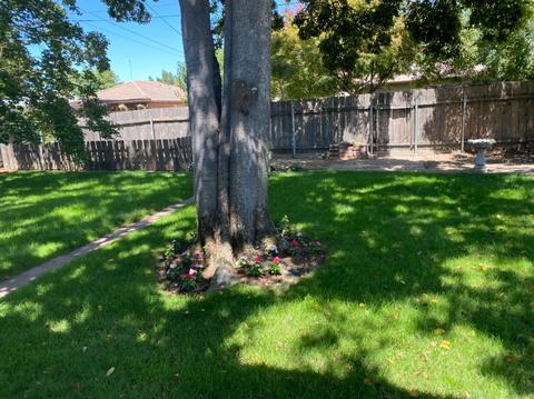 613 Tamarack Dr, Lodi, CA 95240 photo 32