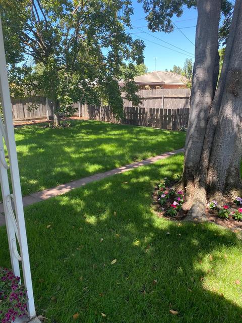 613 Tamarack Dr, Lodi, CA 95240 photo 58